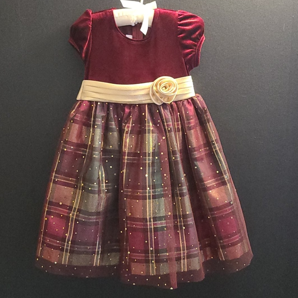 Burgundy colored Dress
